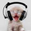 Dj R