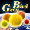 GreyBird