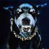 CJ DOBERMANN