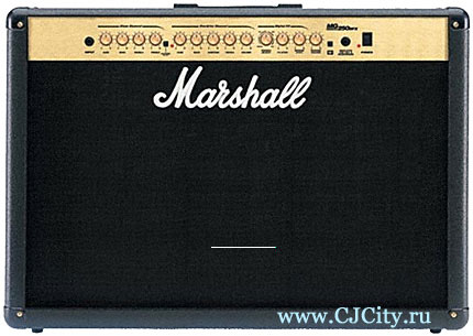 Marshall MG 250 DFX 