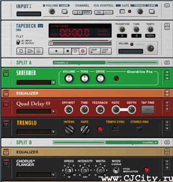  10 -  Native Instruments Guitar RIG