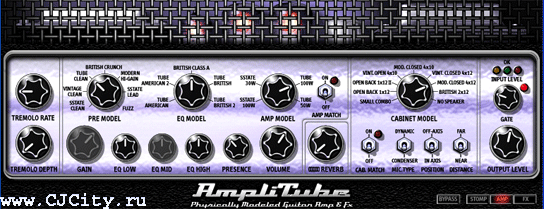  5 - IK Multimedia Amplitube