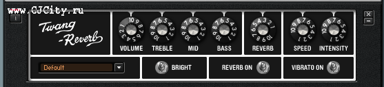  15 - Twang Reverb. instruments guitar rig