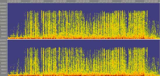 ������ mp3 128 kbps 44khz 16bit ����� LAME 3.96