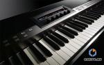 Yamaha CP Series