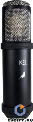 Kel Audio Song Sparrow