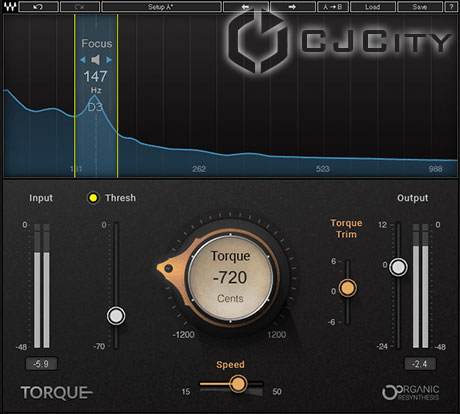 Waves Torque