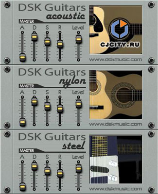  DSK Music Guitars Series