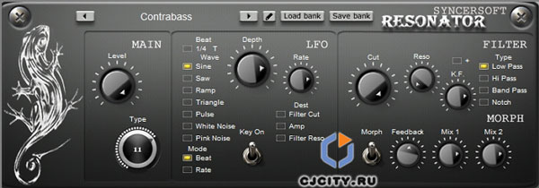 Скачать SyncerSoft Resonator
