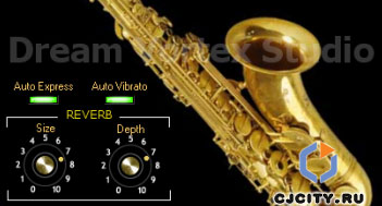 Скачать Dream Vortex Studio Saxophone
