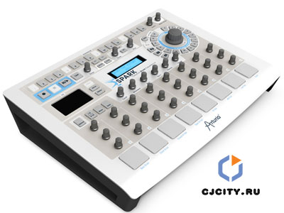 ���� ������ Arturia Spark