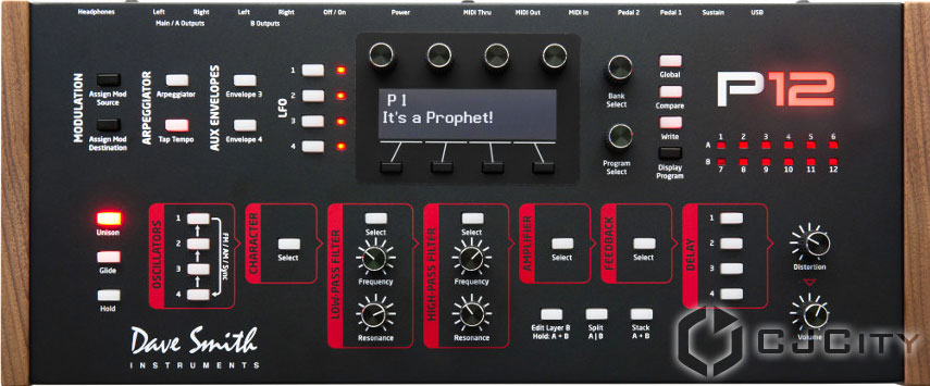 ���� ���� ��������� Prophet 12 Module
