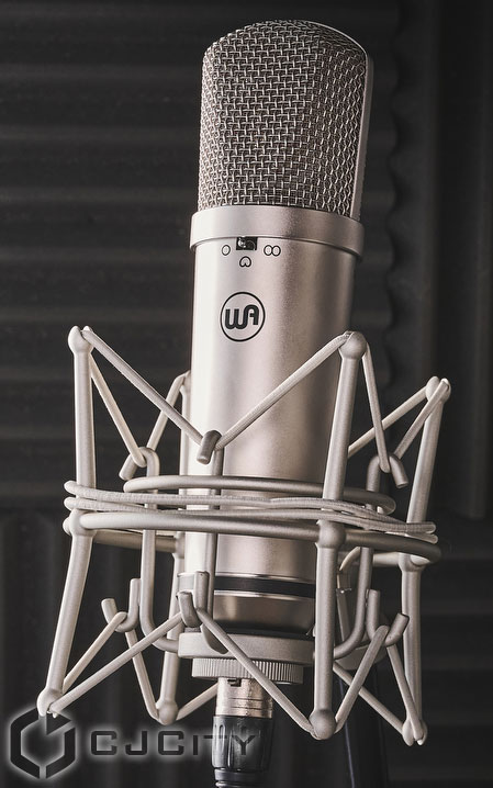 �������� Warm Audio WA‑87JR