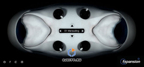 ������� FXpansion Orca